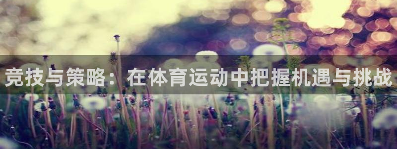 一竞技官网下载联系电话:竞技与策略:在体育运动中把握机遇与挑