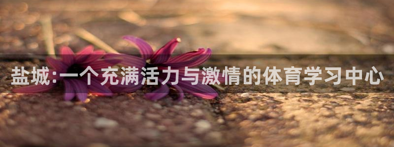 一竞技官网下载是干嘛的公司:盐城:一个充满活力与激情的体育学